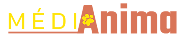 MediAnima - Accueil - Ecole de Chiots - Cynothérapie - Formation & Interventions